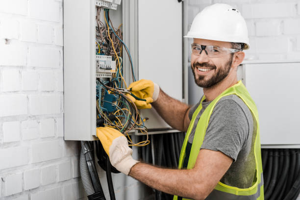 Best Electric Panel Repair  in Meraux, LA